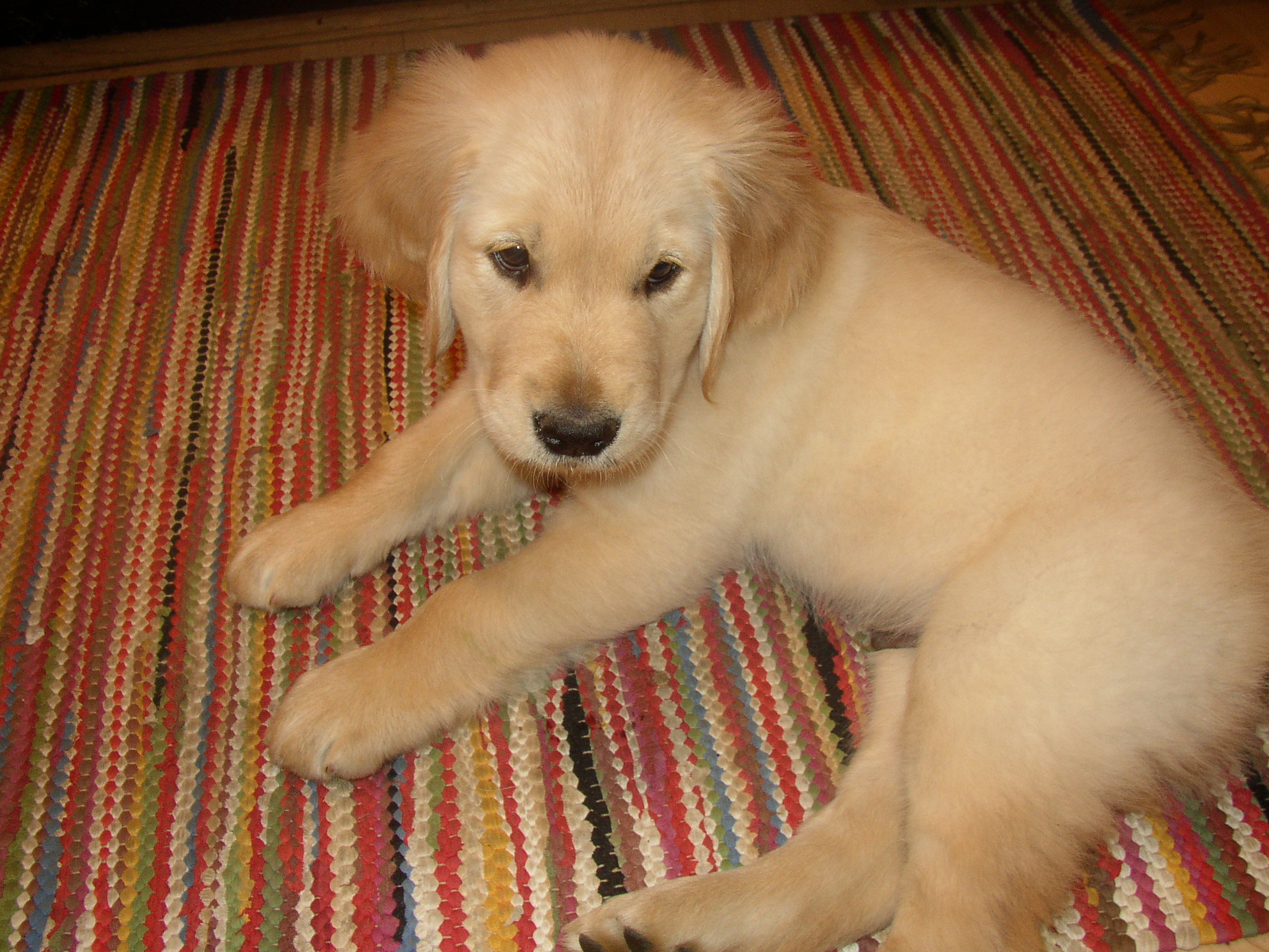 Azela Garden and Jed Coming Home May 4 020